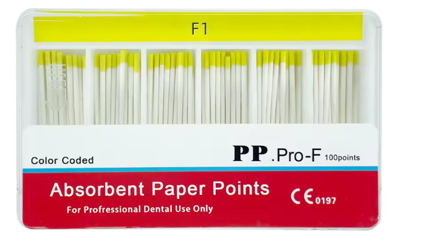 paper  point  F1